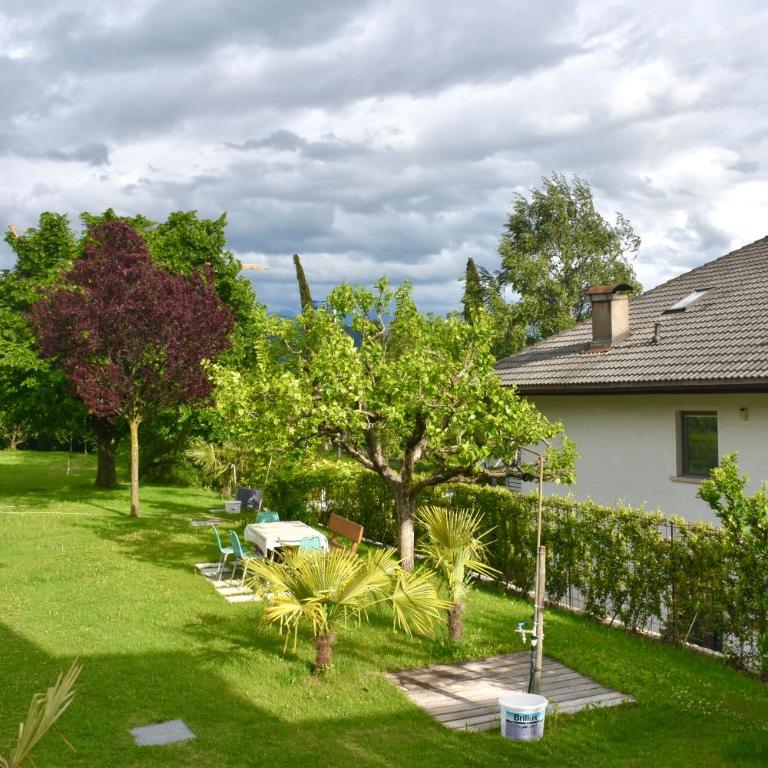 Haus Klavenz - Apartamento con terraza - 5