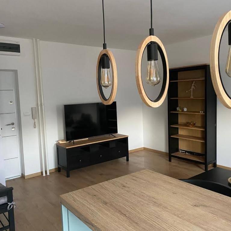 TiTo LuX Dorcol - Apartman sa 1 Spavaćom Sobom - 4