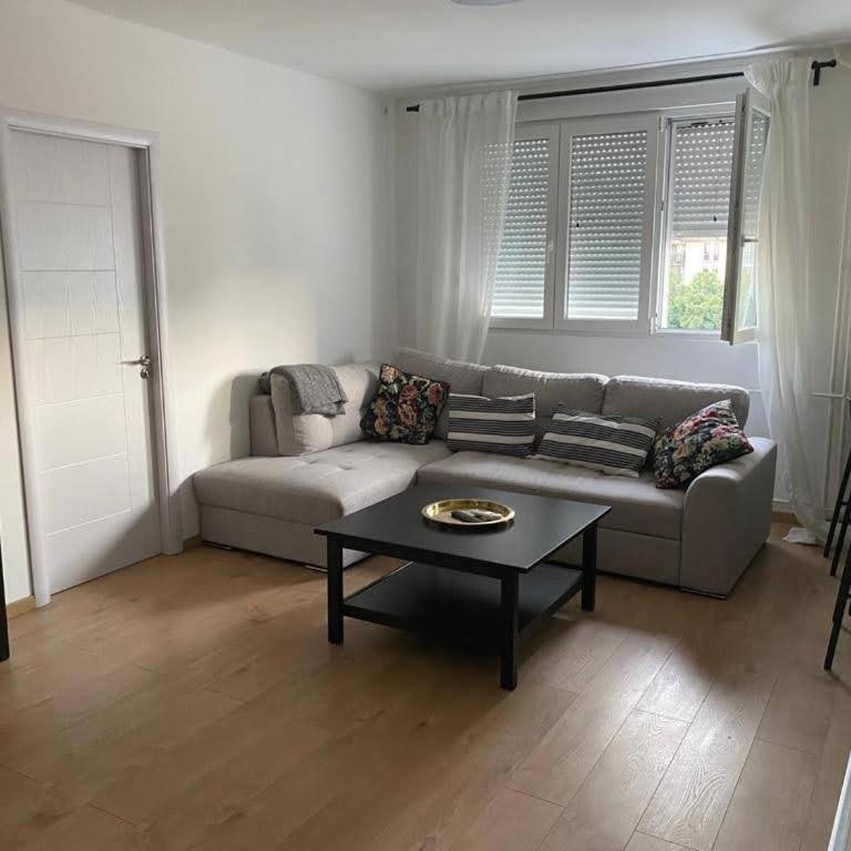 TiTo LuX Dorcol - Apartman sa 1 Spavaćom Sobom - 1