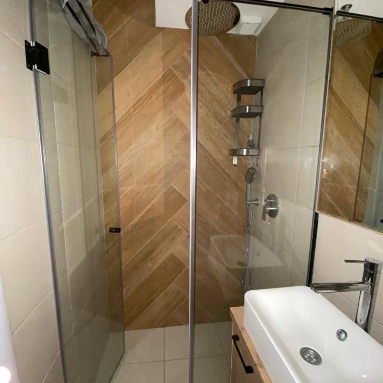 TiTo LuX Dorcol - Apartman sa 1 Spavaćom Sobom - 6