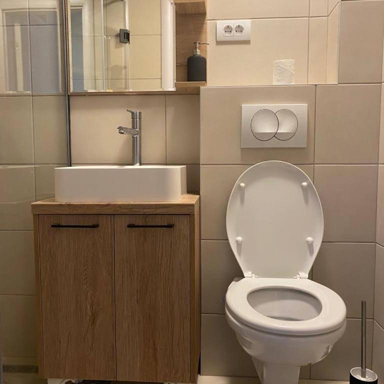 TiTo LuX Dorcol - Apartman sa 1 Spavaćom Sobom - 10