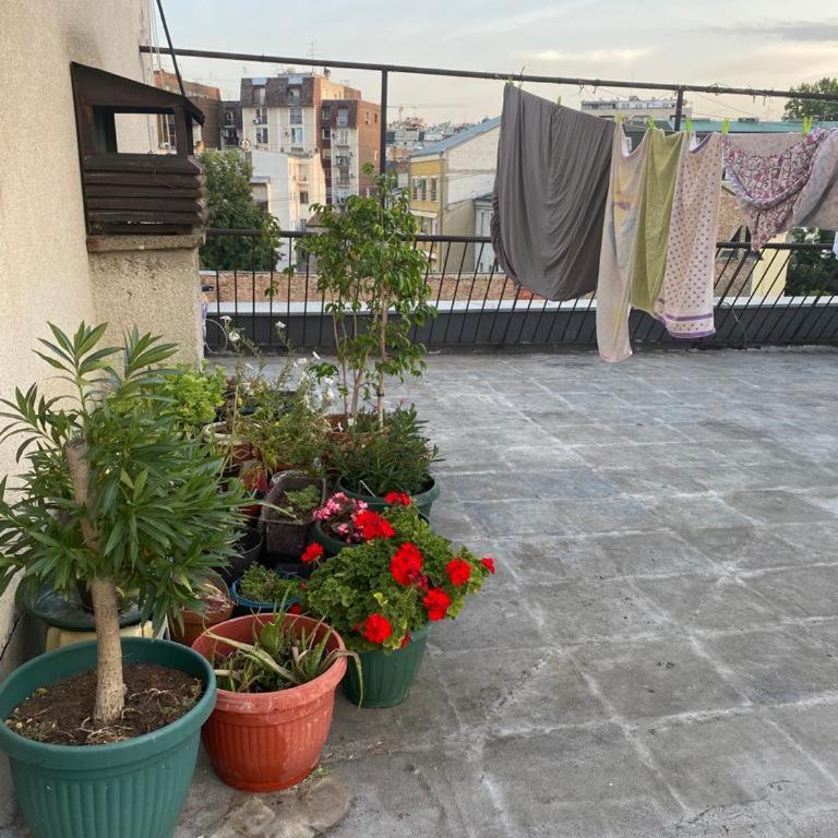 TiTo LuX Dorcol - Apartman sa 1 Spavaćom Sobom - 11