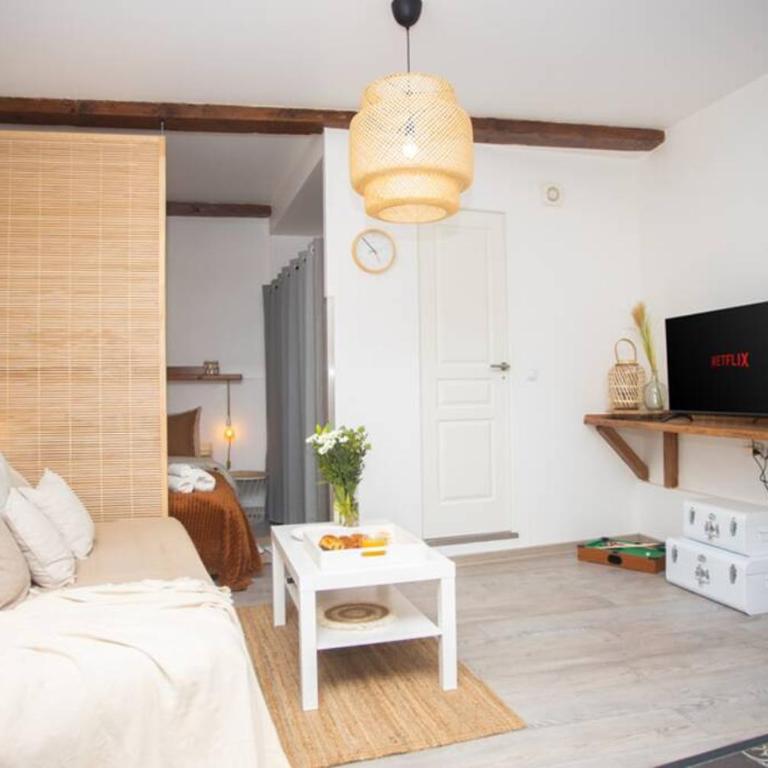 Le Bohème, Cosy, Hypercentre - One-Bedroom Apartment - 17
