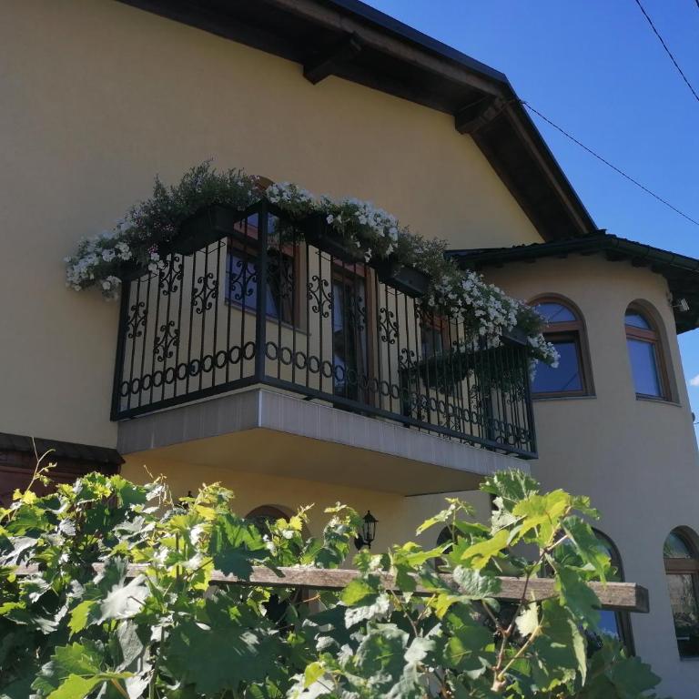 Garden Blue Sarajevo - free Parking - Deluks Apartman - 51