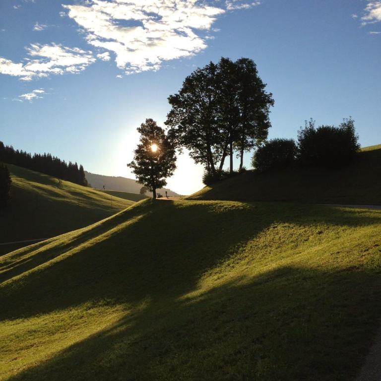 Silber Lodge im Wiesenstein - Apartamento con balcón - 18