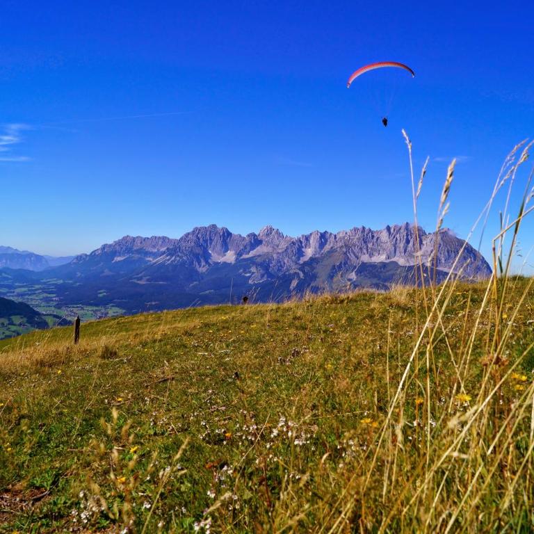 Silber Lodge im Wiesenstein - Apartamento con balcón - 19
