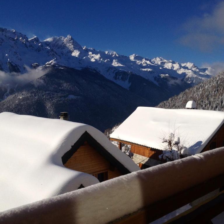Les Ecureuils Squirrel Lodge - Appartement avec Vue sur la Montagne - 67
