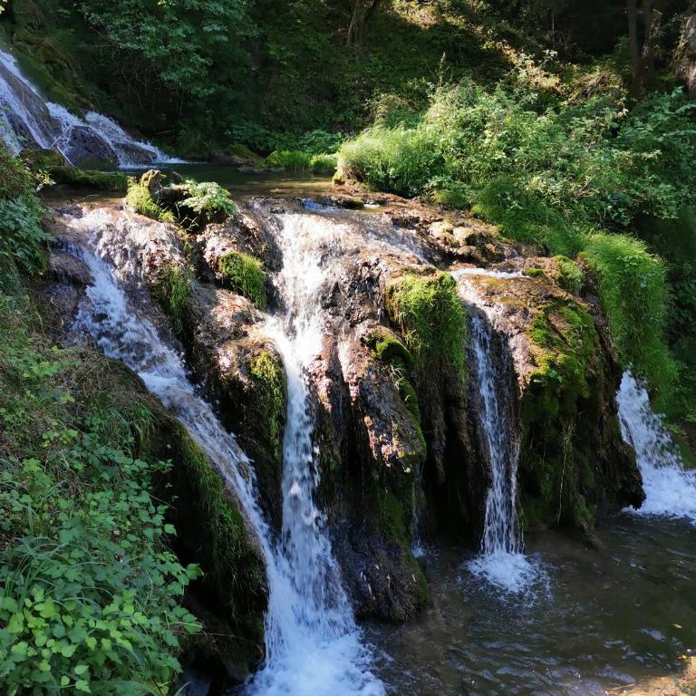 Vila Marija Zlatibor - Apartman 2 - Apartman sa 1 Spavaćom Sobom - 51