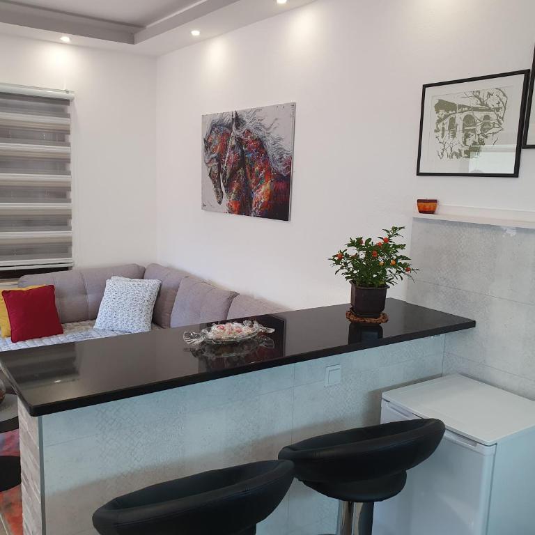 Studio Milenic - Studio - 6