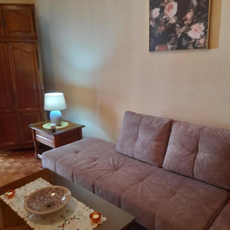 Apartmani Pandurevic - Studio Apartment - 9