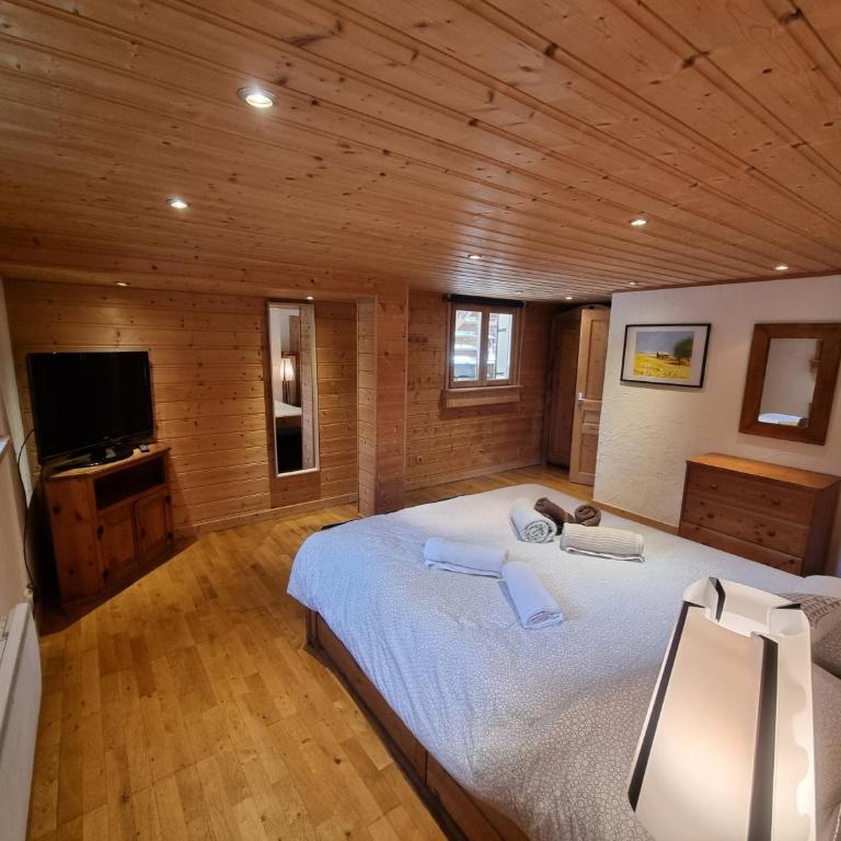 Chalet Tontine, 3 bedrooms, sauna, terrace and great views ! - Chalet - 23