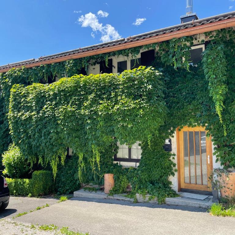 Ludwigschlössl - Casa Vacanze - 9