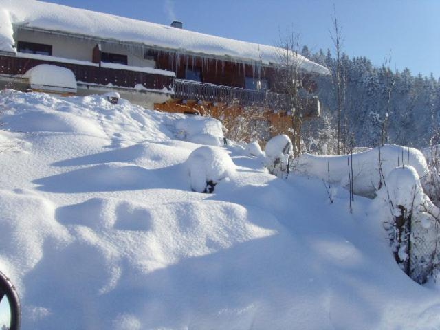 Allgäuer Stube - Apartment mit 2 Schlafzimmern - 19