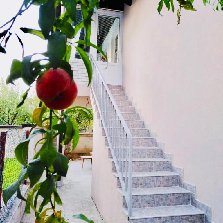 Apartman HAN - Apartman sa 3 Spavaće Sobe - 22