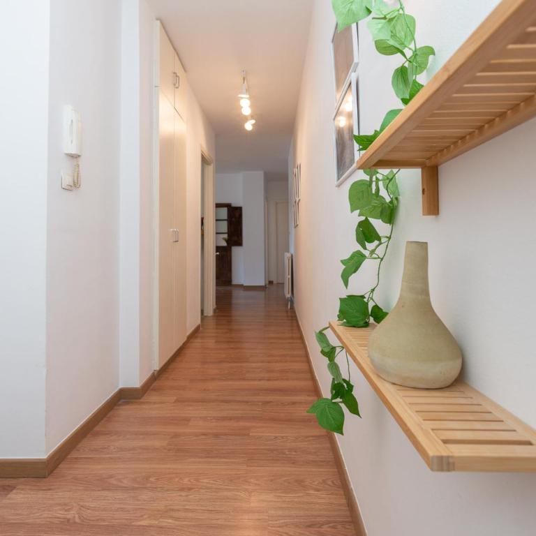 Fontargent -1B Soldeu - Apartamento de 3 dormitorios - 14