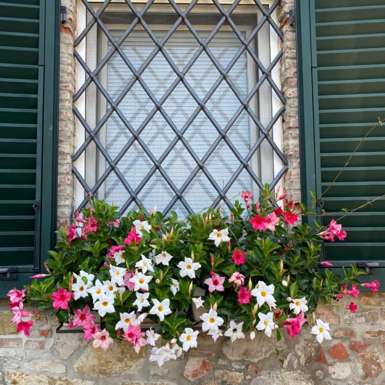 casa pietra del sole - Villa con Piscina Privata - 6