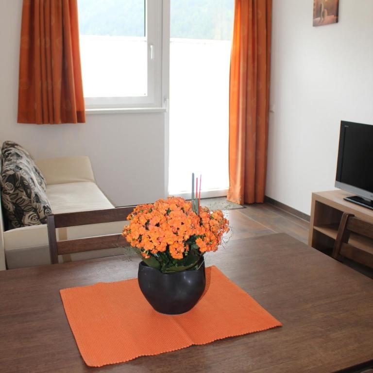 Haus Elisabeth - Apartment mit Blick auf die Berge - 19