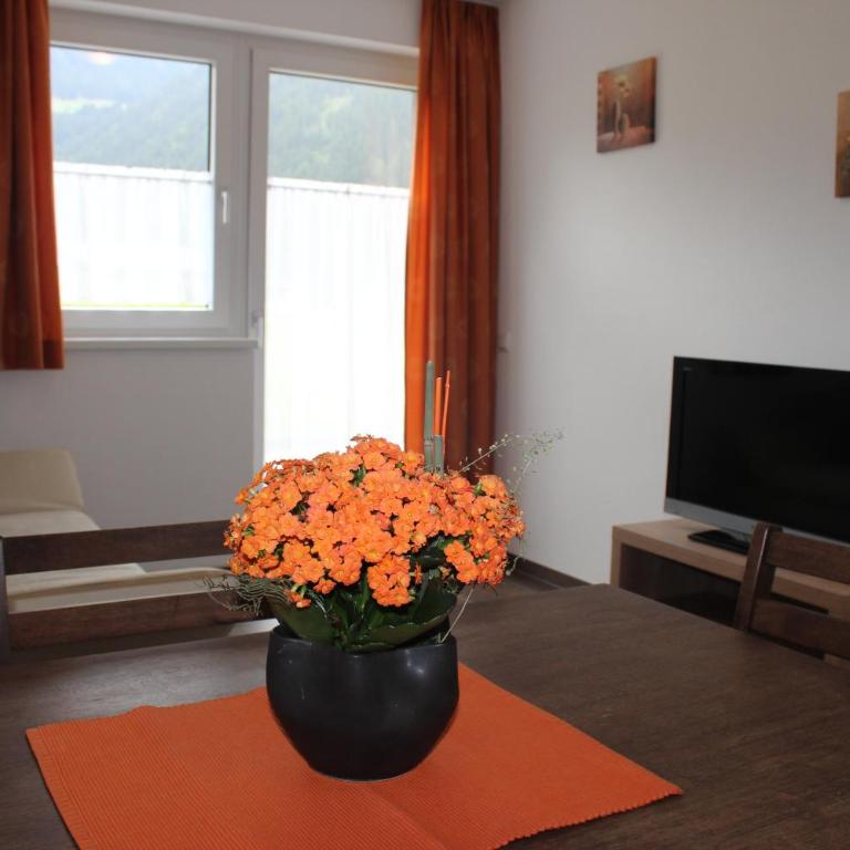 Haus Elisabeth - Apartment mit Blick auf die Berge - 24