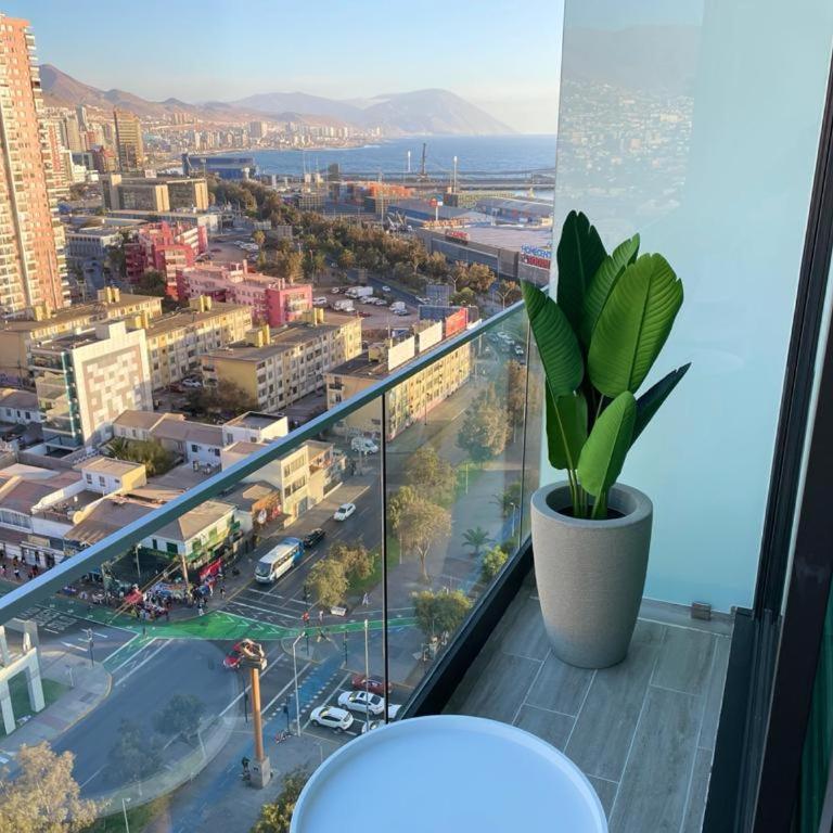 Puerto Nuevo Antofagasta - Apartamento de 1 dormitorio - 1