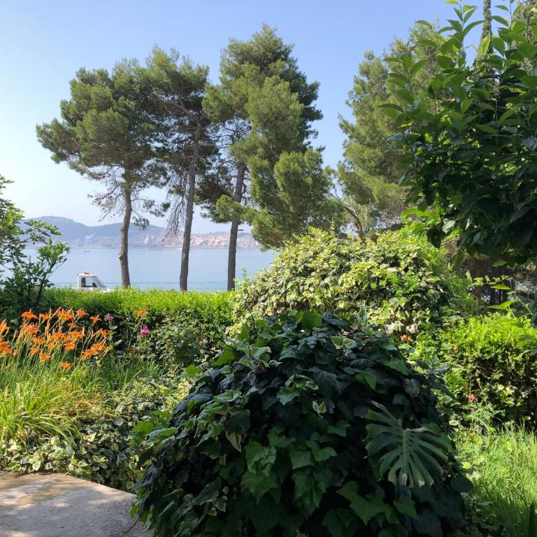Apartmani Sunce - Standardni Studio - 2