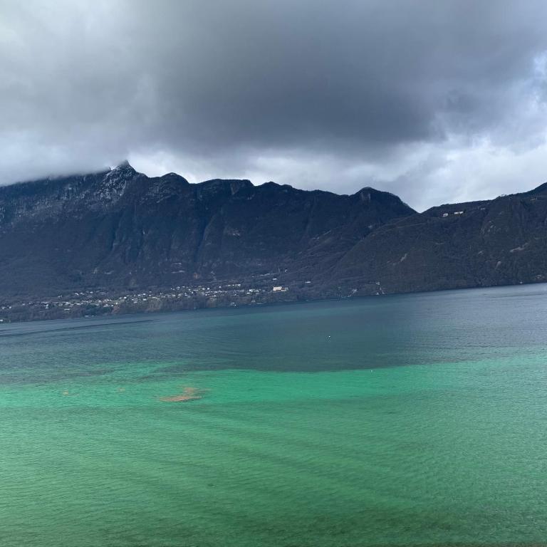 Le Lamartine, vue magnifique face au Lac du Bourget - Apartment with Lake View - 10