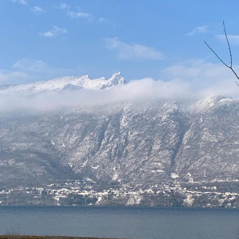 Le Lamartine, vue magnifique face au Lac du Bourget - Apartment with Lake View - 7
