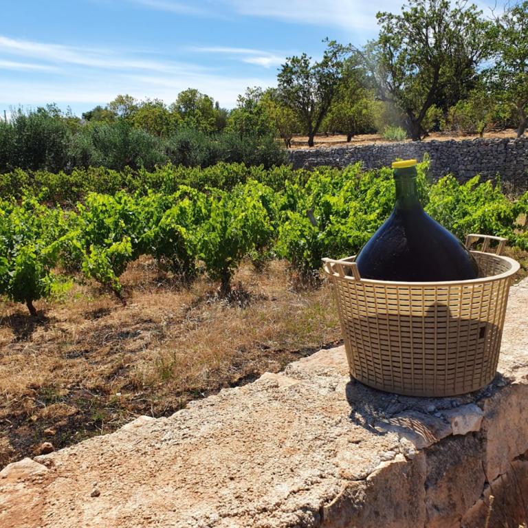 Trullo Oasi Veronica - Villa con Piscina Privata - 25