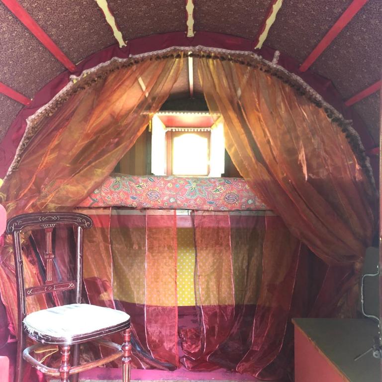 Les roulottes de Bayama - logement insolite avec jacuzzi - Maison de vacances Irlandaise - 3