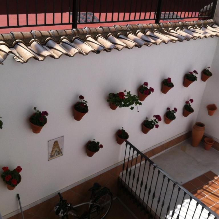 Don Paula - Habitación Doble con cama supletoria - 1 o 2 camas - 6