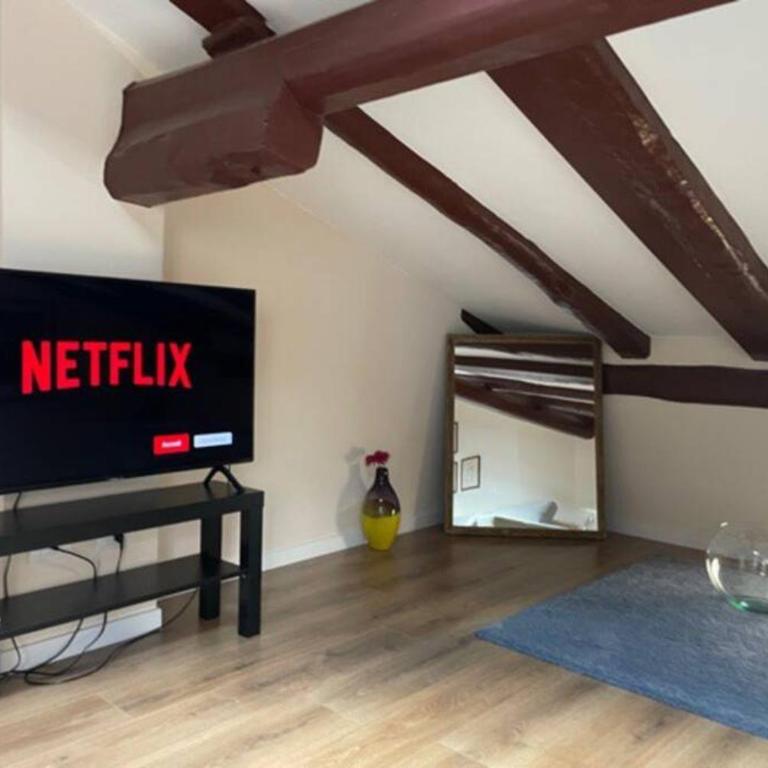 portanova attic - Two-Bedroom Apartment - 9