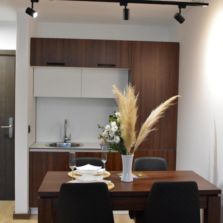 Silver View - One-Bedroom Apartment - 15