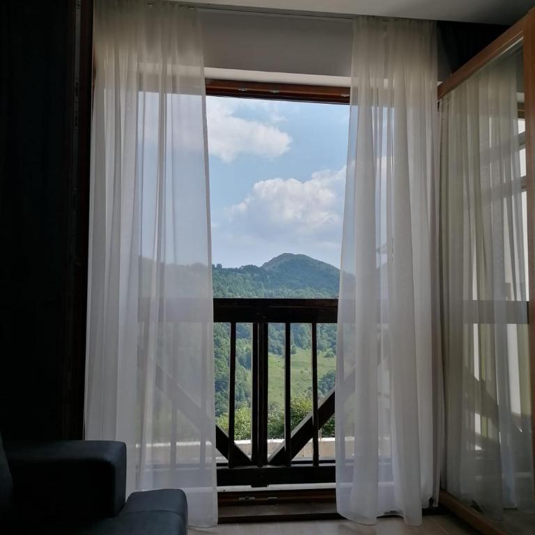 Silver View - One-Bedroom Apartment - 34
