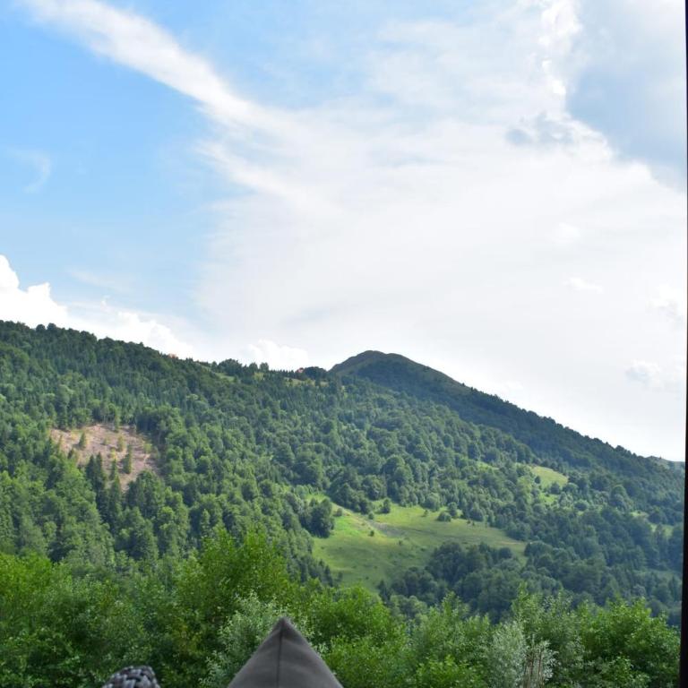 Silver View - Apartman sa 1 Spavaćom Sobom - 52