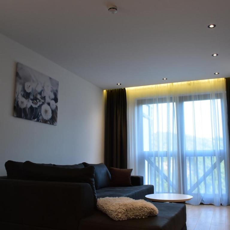 Silver View - One-Bedroom Apartment - 59