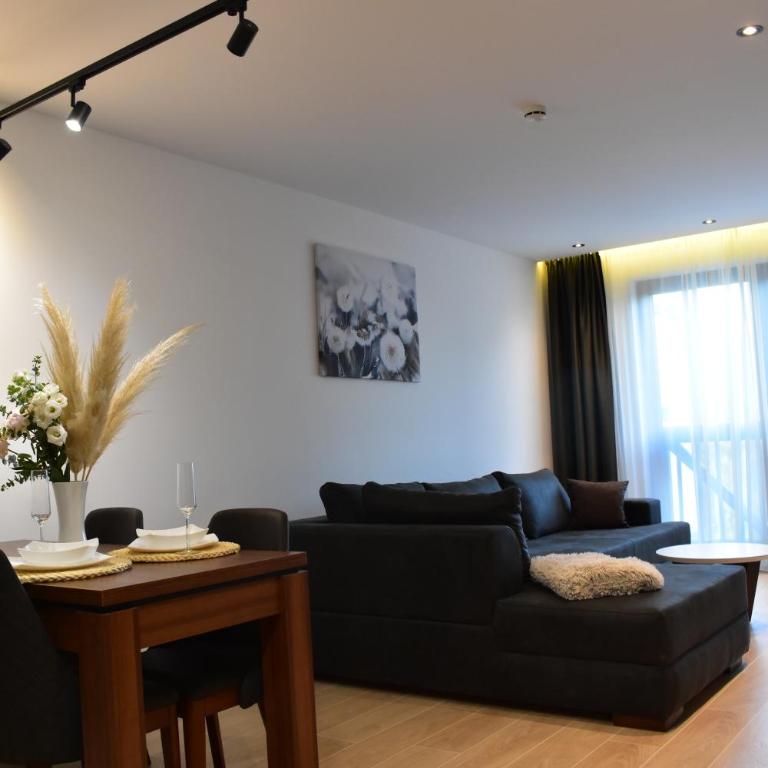 Silver View - One-Bedroom Apartment - 62