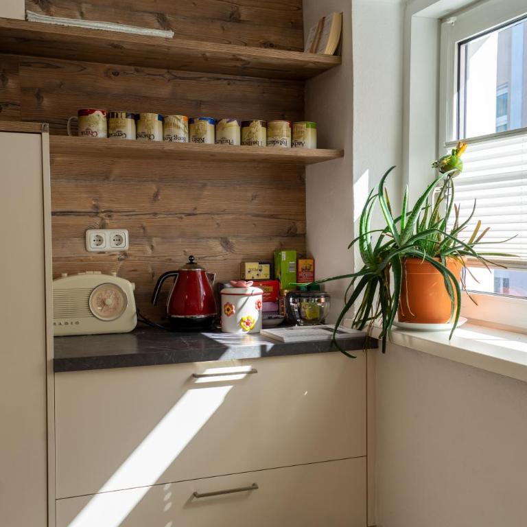 Modern Apartment in the City Center of Bad Ischl - Apartment mit 3 Schlafzimmern - 30