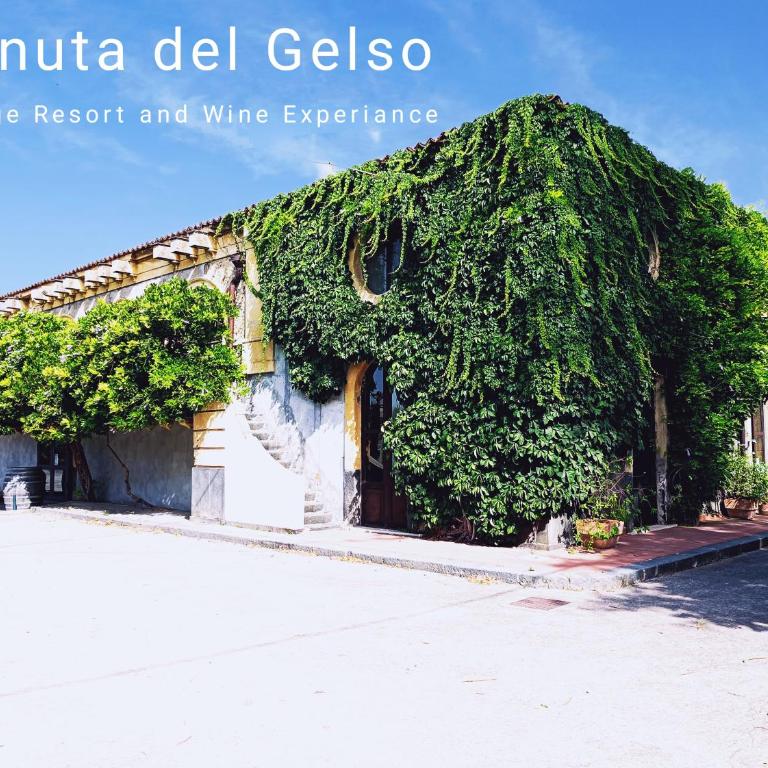 Tenuta del Gelso - Superior Double Room - 3