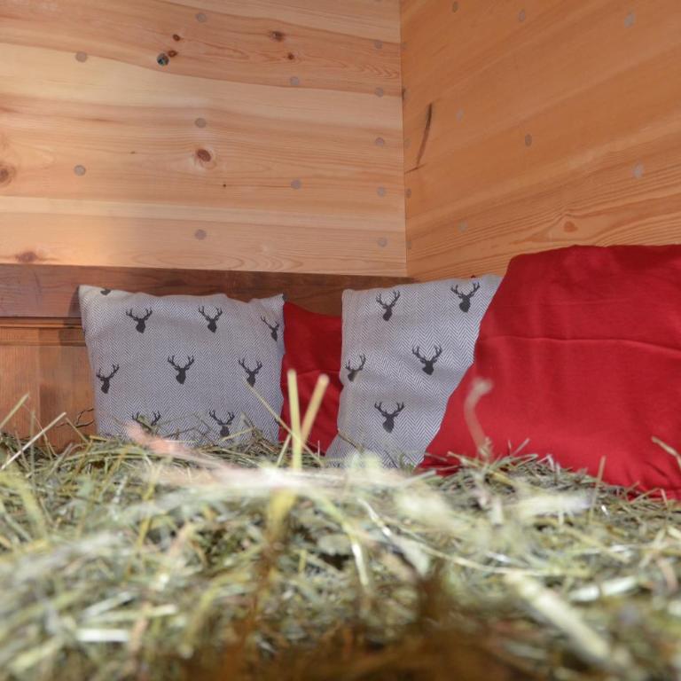 Naturchalet - Chalet - 6