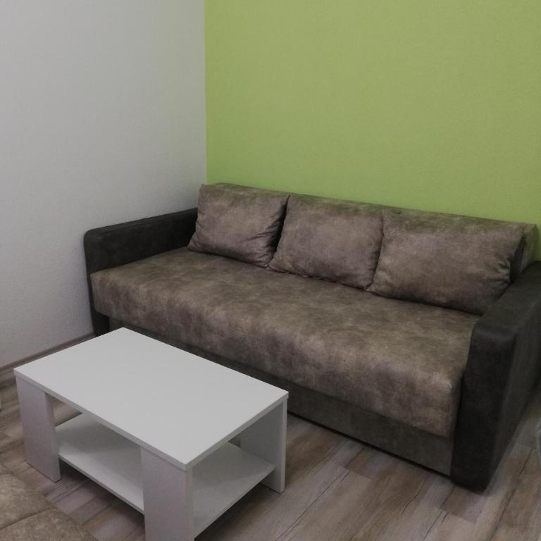 Apartmani Manila, Vrnjačke terme-popust, SPA centar Pegaz-popust, garažno mesto - Apartman sa 1 Spavaćom Sobom - 3
