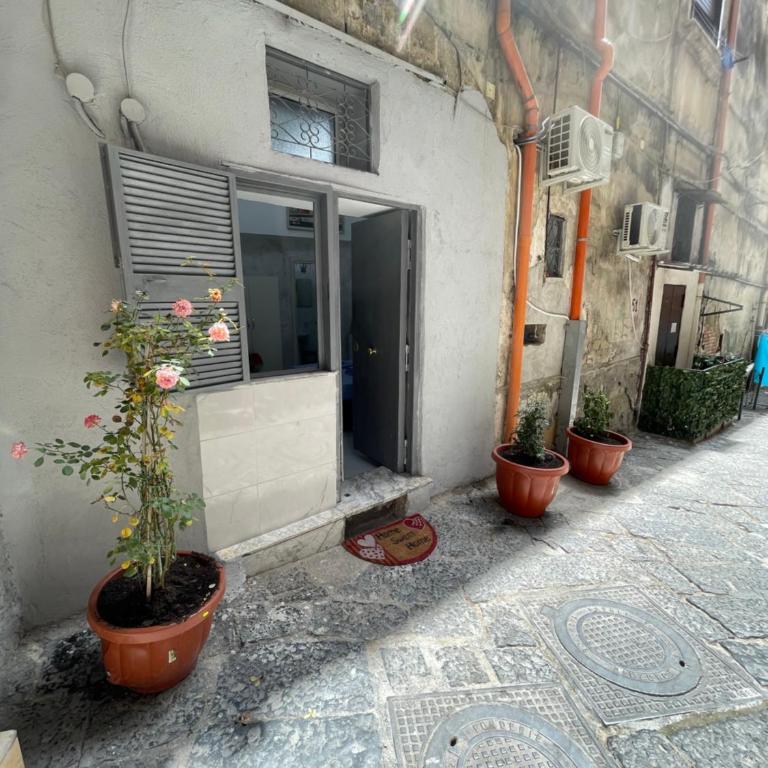 House Paky - Appartamento - 2