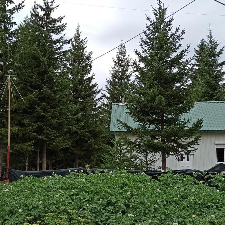 Edelweiss village apartment - Vacation Home - 20