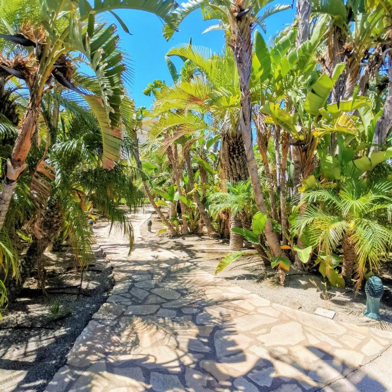 VeraTespera - Vera Playa WiFi, Piscina, Ocio Familiar - Apartamento de 2 dormitorios - 28