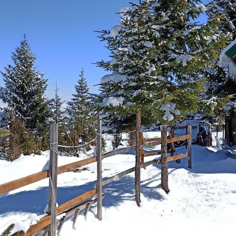 Edelweiss village apartment - Vacation Home - 24