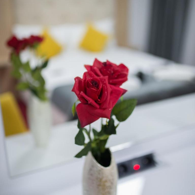Delux Apartmani Bulevar - Apartman sa 1 Spavaćom Sobom - 19