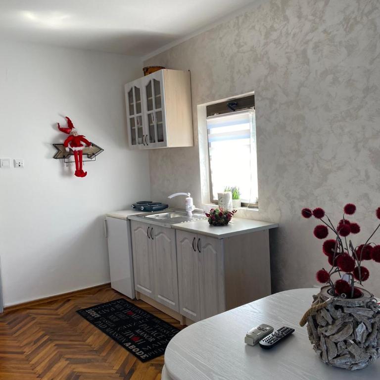 Guest House Cvoro - Apartment with Terrace - 12