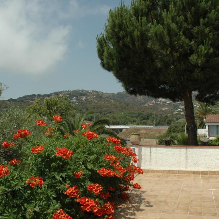 Xicu Moner-Platja d'Aro-Costa Brava - Villa - 40