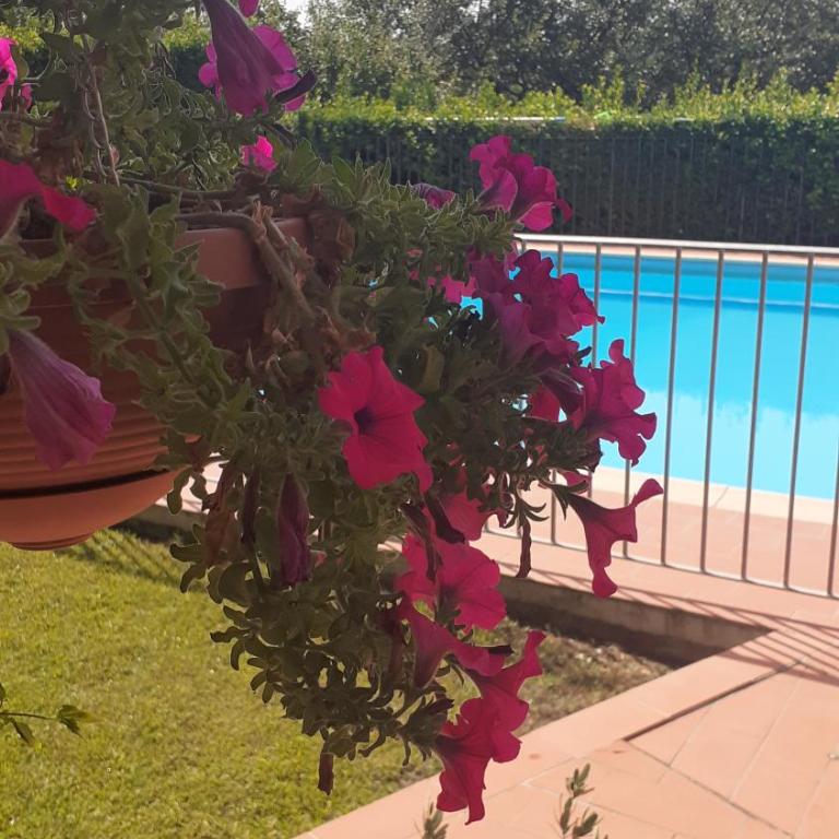 AGRITURISMO IL PINO - APPARTAMENTO CIPRESSO - Appartamento con 2 Camere da Letto - 8