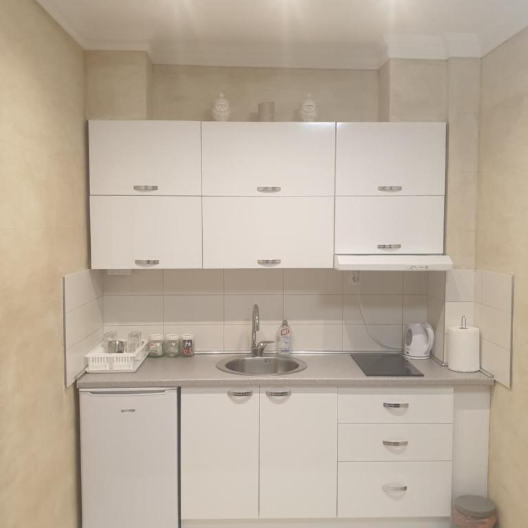 Elena Lux - Apartman sa 2 Spavaće Sobe - 11