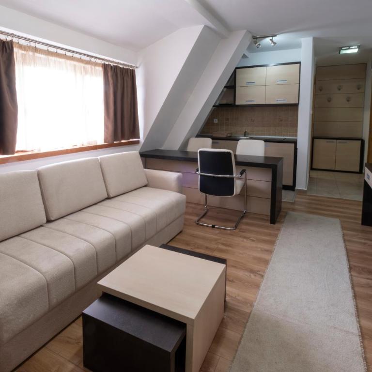 Mila apartmani Kopaonik - Apartment with Mountain View - 16