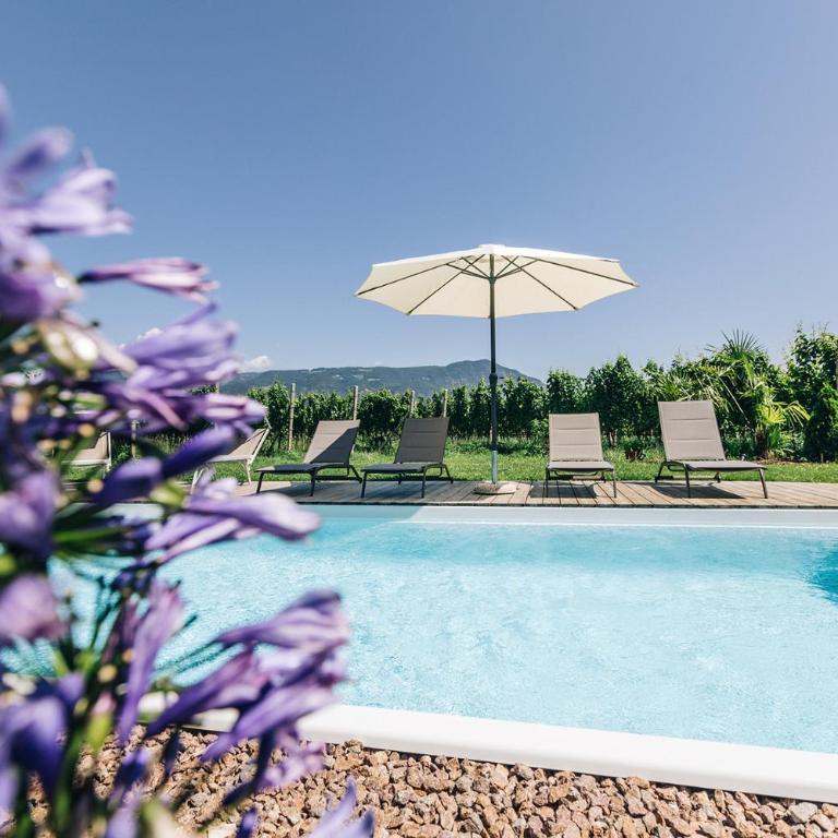 La Rosea - Fine Living Apartments - Appartamento con 1 Camera da Letto - 1